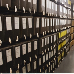 Dr.oec. Inguna Leibus