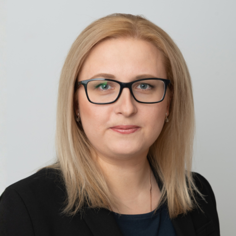 Viens reprezentācijas priekšmets – dažādi nodokļi