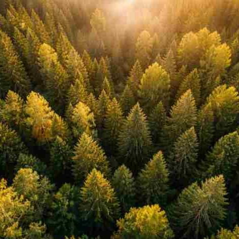 Nodokļu atvieglojumi SEZ – līdz 2050.gadam