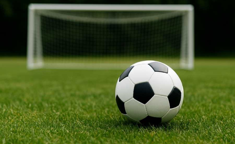 PVN piemērošana dalības maksai biedrību, nodibinājumu un sabiedrisko organizāciju rīkotajos sporta pasākumos