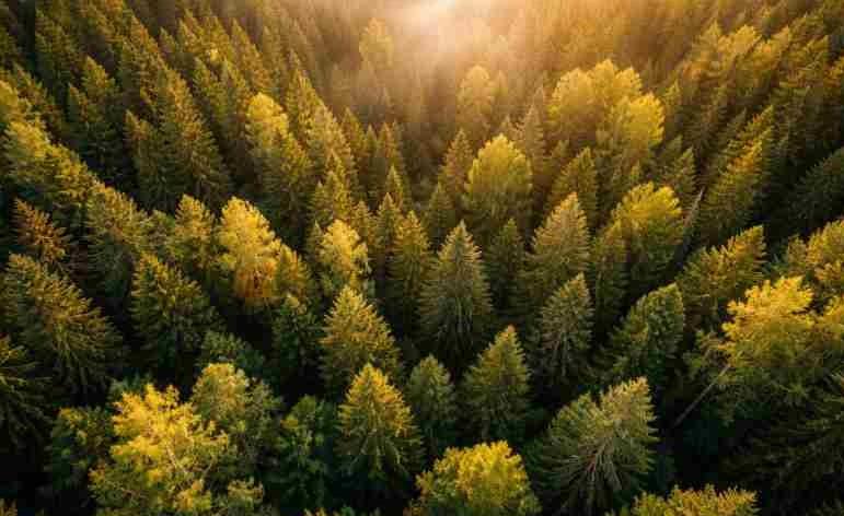 Nodokļu atvieglojumi SEZ – līdz 2050.gadam